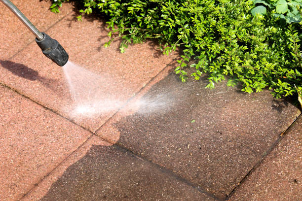 Best Roof Power Washing Services  in Pigeon Forge, TN