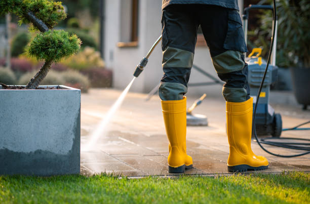 Best Exterior Home Cleaning  in Pigeon Forge, TN